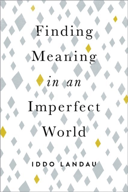 Iddo Landau - Finding Meaning in an Imperfect World, E-bok
