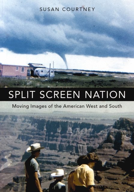 Susan Courtney - Split Screen Nation, E-bok