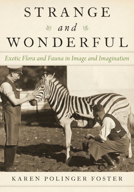 Karen Polinger Foster - Strange and Wonderful, E-bok
