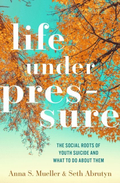 Seth Abrutyn, Anna S. Mueller - Life under Pressure, E-bok