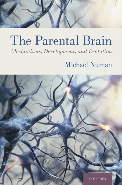 Michael Numan - Parental Brain, E-bok