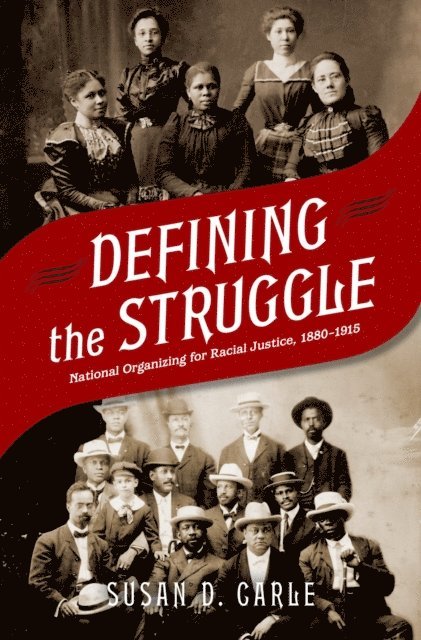 Susan D. Carle - Defining the Struggle, E-bok