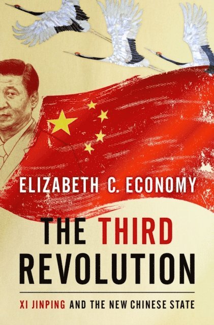 Elizabeth C. Economy - Third Revolution, E-bok