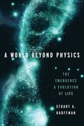 World Beyond Physics