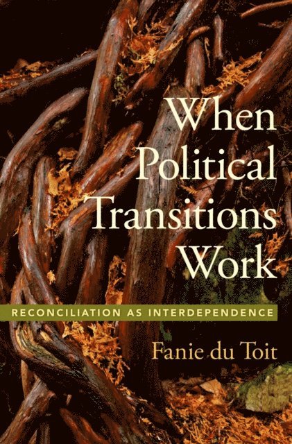 Fanie du Toit - When Political Transitions Work, E-bok