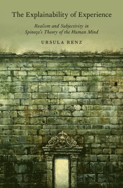 Ursula Renz - Explainability of Experience, E-bok