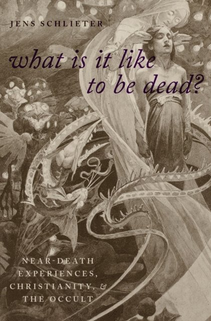 Jens Schlieter - What Is it Like to Be Dead?, E-bok