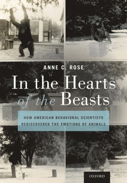 Anne C. Rose - In the Hearts of the Beasts, E-bok