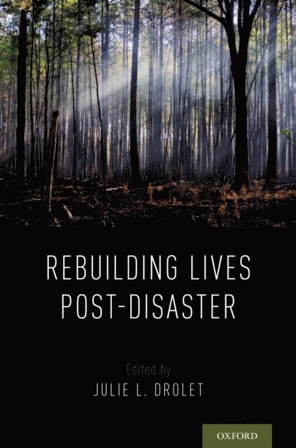 Julie L. Drolet - Rebuilding Lives Post-Disaster, E-bok