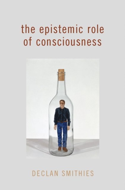 Declan Smithies - Epistemic Role of Consciousness, E-bok