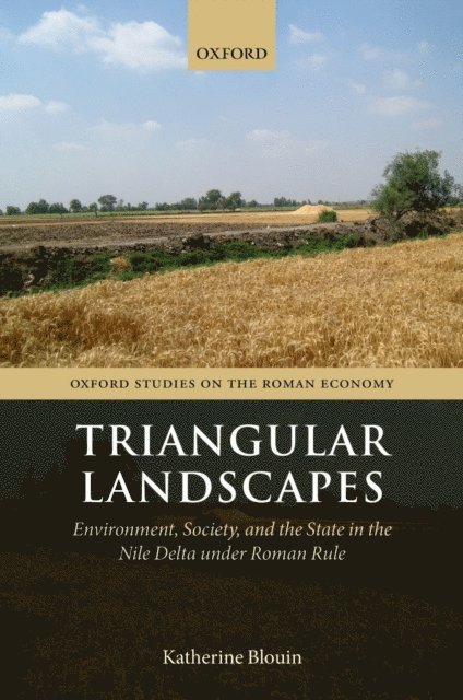 Katherine Blouin - Triangular Landscapes, E-bok