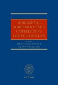 Horizontal Agreements and Cartels in EU Competition Law