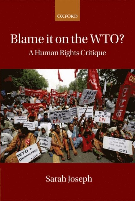 Sarah Joseph - Blame it on the WTO?, E-bok