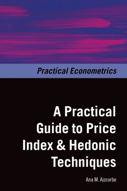 Ana M. Aizcorbe - Practical Guide to Price Index and Hedonic Techniques, E-bok
