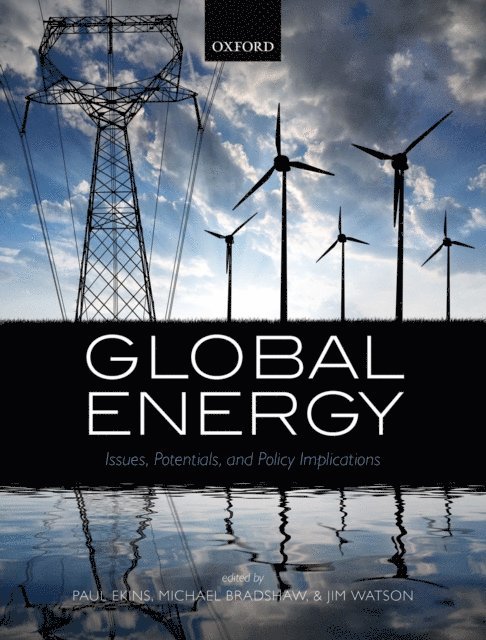 Jim Watson, Mike Bradshaw, Paul Ekins - Global Energy, E-bok