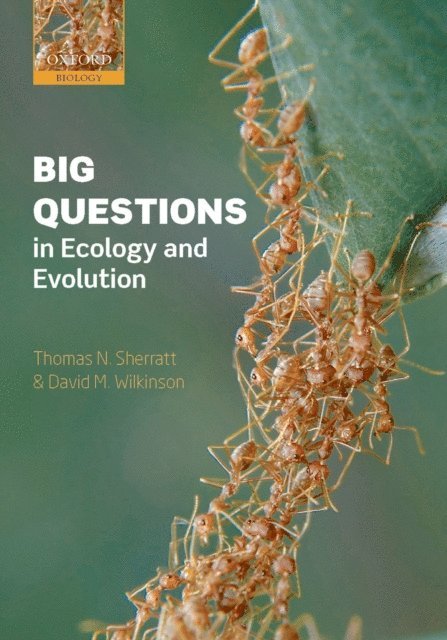 David M. Wilkinson, Thomas N. Sherratt - Big Questions in Ecology and Evolution, E-bok