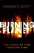 Burning Planet