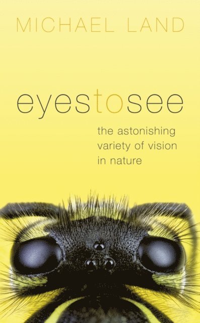 Michael Land - Eyes to See, E-bok