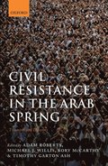 Civil Resistance in the Arab Spring