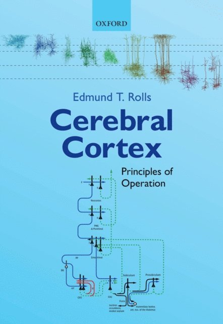 Edmund T. Rolls - Cerebral Cortex, E-bok