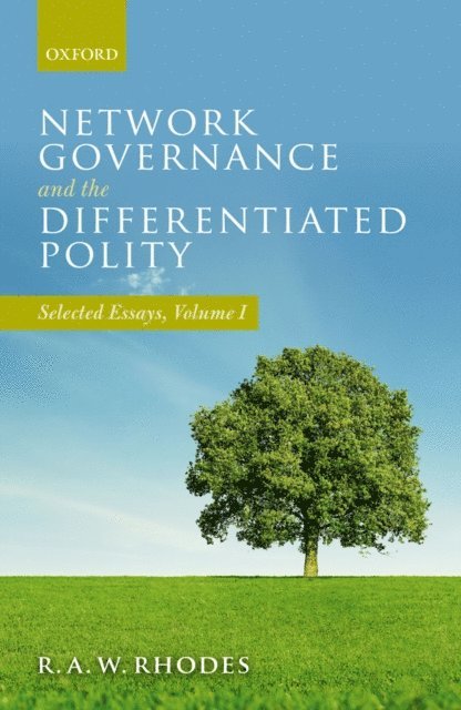 R. A. W. Rhodes - Network Governance and the Differentiated Polity, E-bok