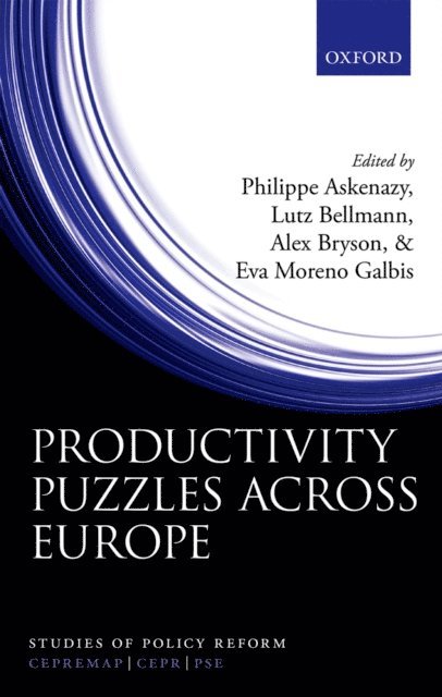 Eva Moreno Galbis, Alex Bryson, Lutz Bellmann, Philippe Askenazy - Productivity Puzzles Across Europe, E-bok