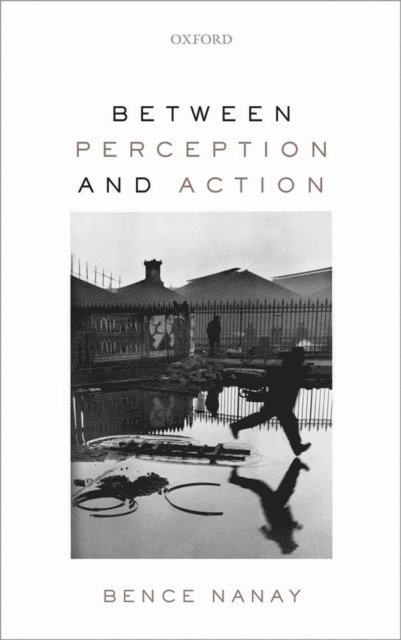 Bence Nanay - Between Perception and Action, E-bok