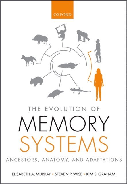 Kim S. Graham, Steven P. Wise, Elisabeth A. Murray - Evolution of Memory Systems, E-bok