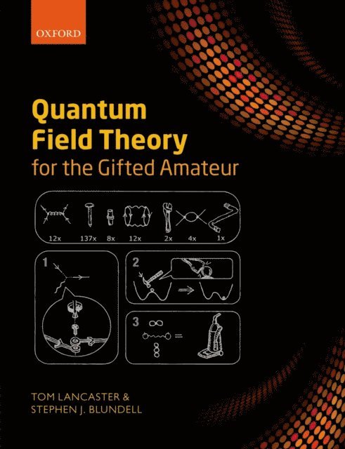 Stephen J. Blundell, Tom Lancaster - Quantum Field Theory for the Gifted Amateur, E-bok