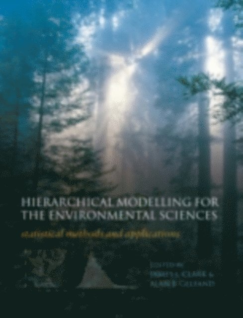 Alan E. Gelfand, James S. Clark - Hierarchical Modelling for the Environmental Sciences, E-bok