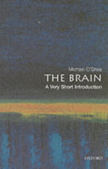 Michael O'Shea - Brain, E-bok