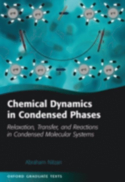 Abraham Nitzan - Chemical Dynamics in Condensed Phases, E-bok