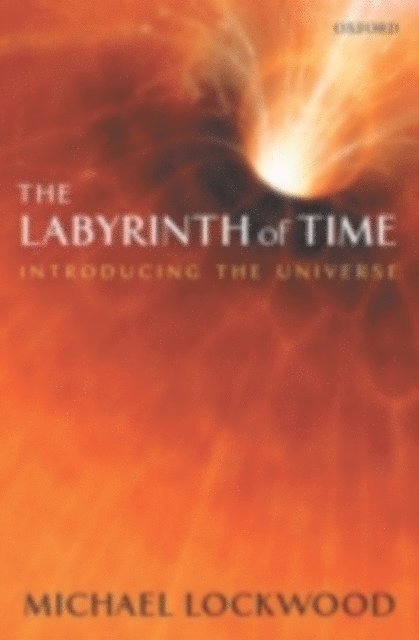 Michael Lockwood - Labyrinth of Time, E-bok