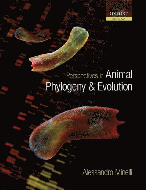 Alessandro Minelli - Perspectives in Animal Phylogeny and Evolution, E-bok