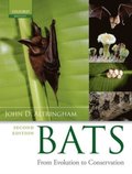 Bats