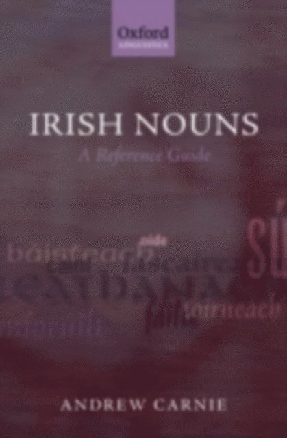 Andrew Carnie - Irish Nouns, E-bok