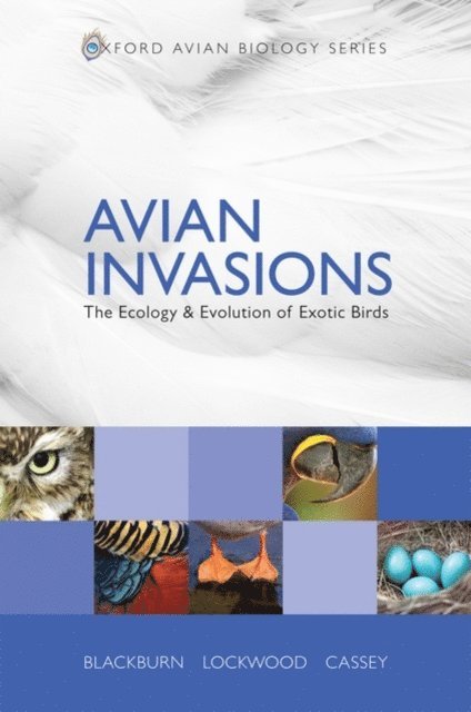Phillip Cassey, Julie L. Lockwood, Tim M. Blackburn - Avian Invasions, E-bok