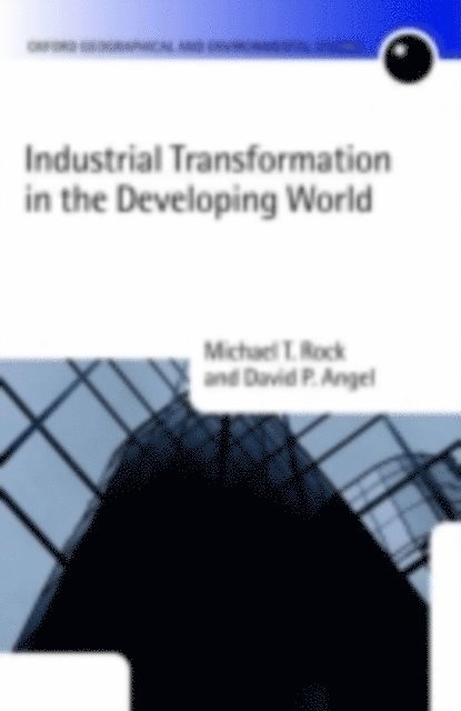 David P. Angel, Michael T. Rock - Industrial Transformation in the Developing World, E-bok