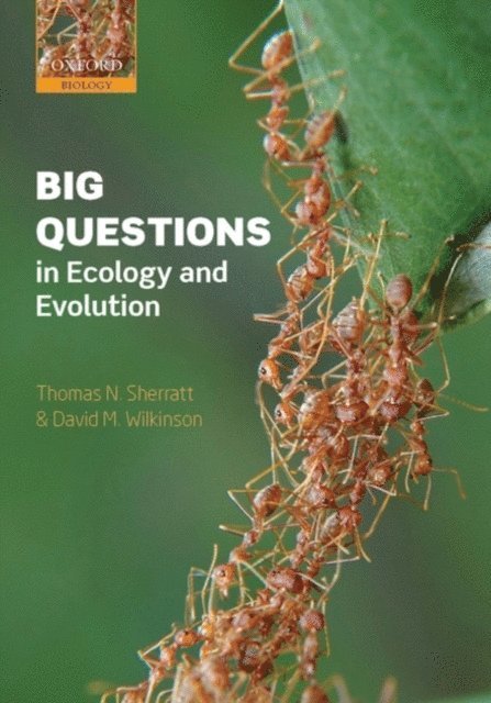 David M. Wilkinson, Thomas N. Sherratt - Big Questions in Ecology and Evolution, E-bok