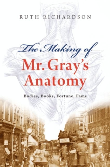 Making of Mr Gray's Anatomy