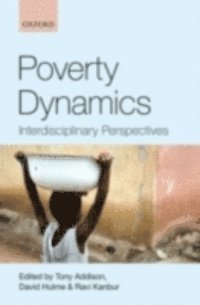 Ravi Kanbur, David Hulme, Tony Addison - Poverty Dynamics, E-bok