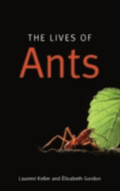 Elisabeth Gordon, Laurent Keller - Lives of Ants, E-bok