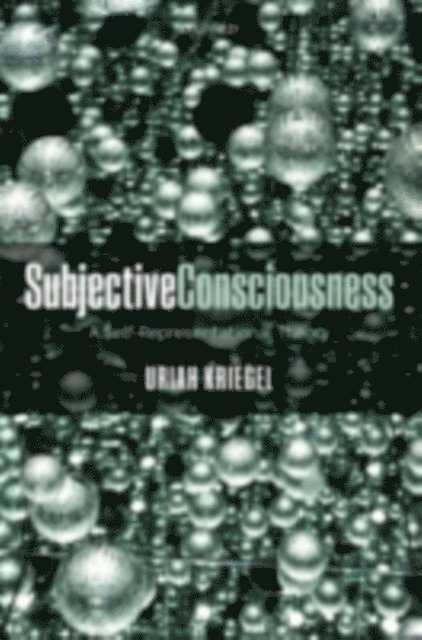 Uriah Kriegel - Subjective Consciousness, E-bok