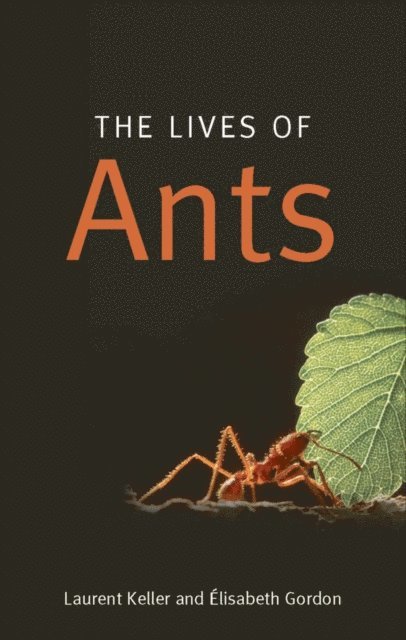 Elisabeth Gordon, Laurent Keller - Lives of Ants, E-bok