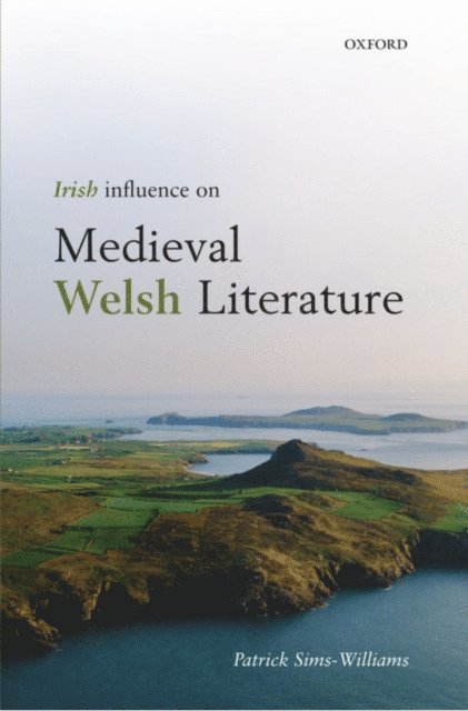 Patrick Sims-Williams - Irish Influence on Medieval Welsh Literature, E-bok