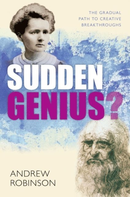 Andrew Robinson - Sudden Genius?, E-bok