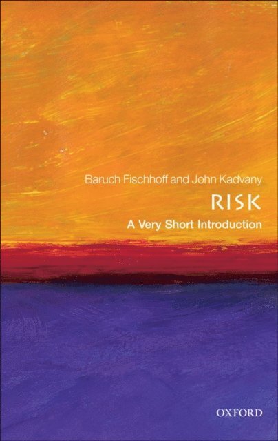John Kadvany, Baruch Fischhoff - Risk, E-bok