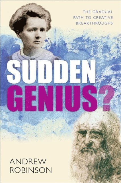 Andrew Robinson - Sudden Genius?, E-bok