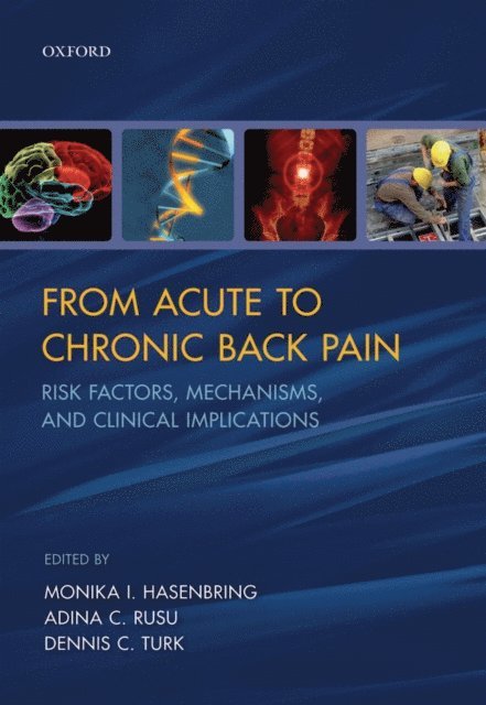 Dennis C. Turk, Adina C. Rusu, Monika I. Hasenbring - From Acute to Chronic Back Pain, E-bok