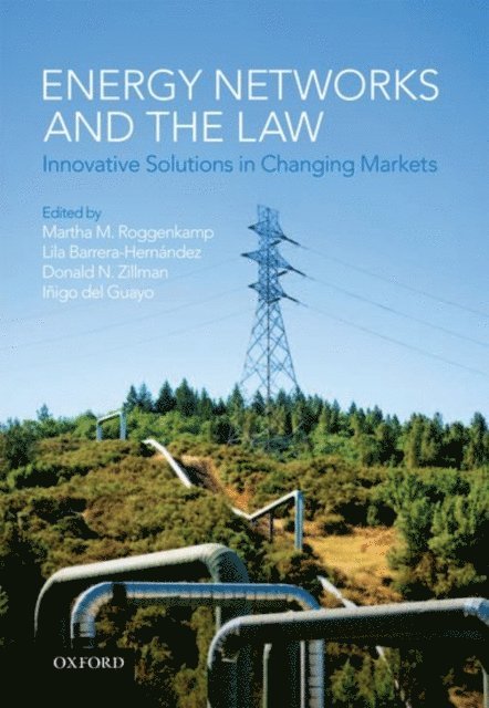 IA±igo del Guayo, Donald N. Zillman, Lila Barrera-HernA!ndez, Martha M. Roggenkamp - Energy Networks and the Law, E-bok